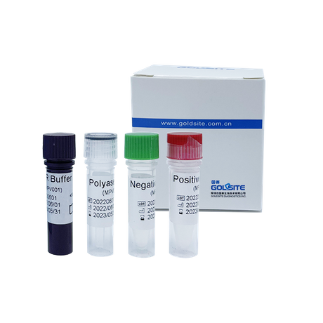 Kit de PCR Monkeypox Virus (MPXV)